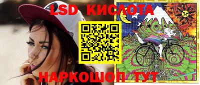 сатива Беслан