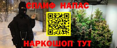 сатива Беслан