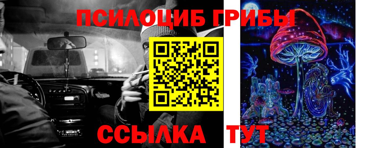 Псилоцибиновые грибы мухоморы  Псилоцибиновые грибы Psilocybe  Вход с VPN  Казань 
