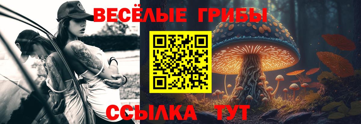 Псилоцибиновые грибы GOLDEN TEACHER Казань